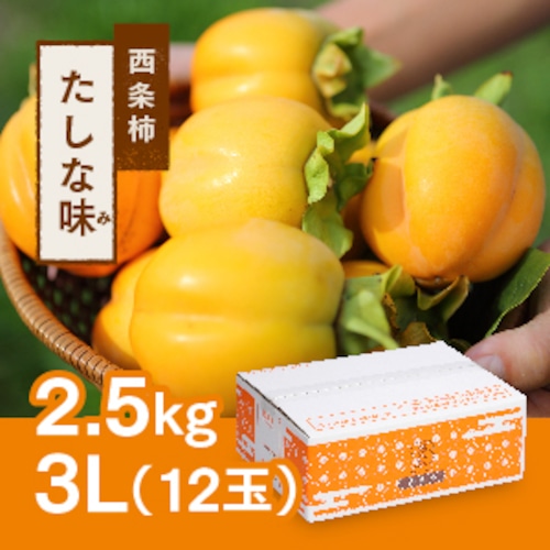 西条柿 3L 12玉（2.5ｋｇ） たしな味【2023年11月初旬頃より発送開始】