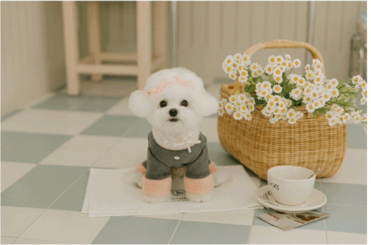 即納【pecoramou select】マリファオールインワン (チャコール)