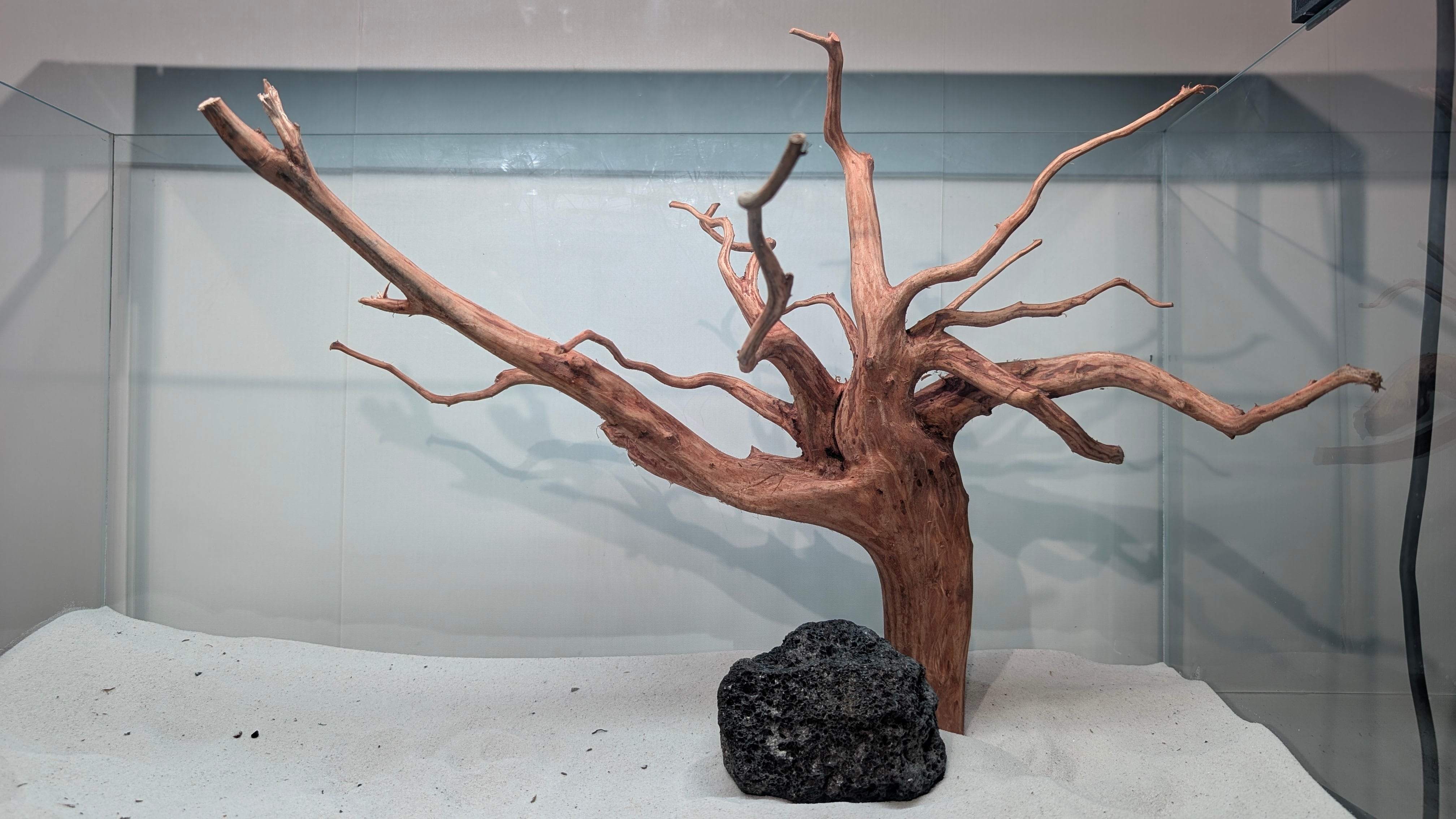 ペットの流木 水宗工房