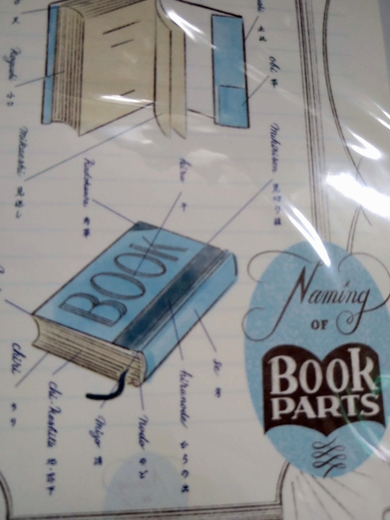 レターセット 「Naming of Book parts」