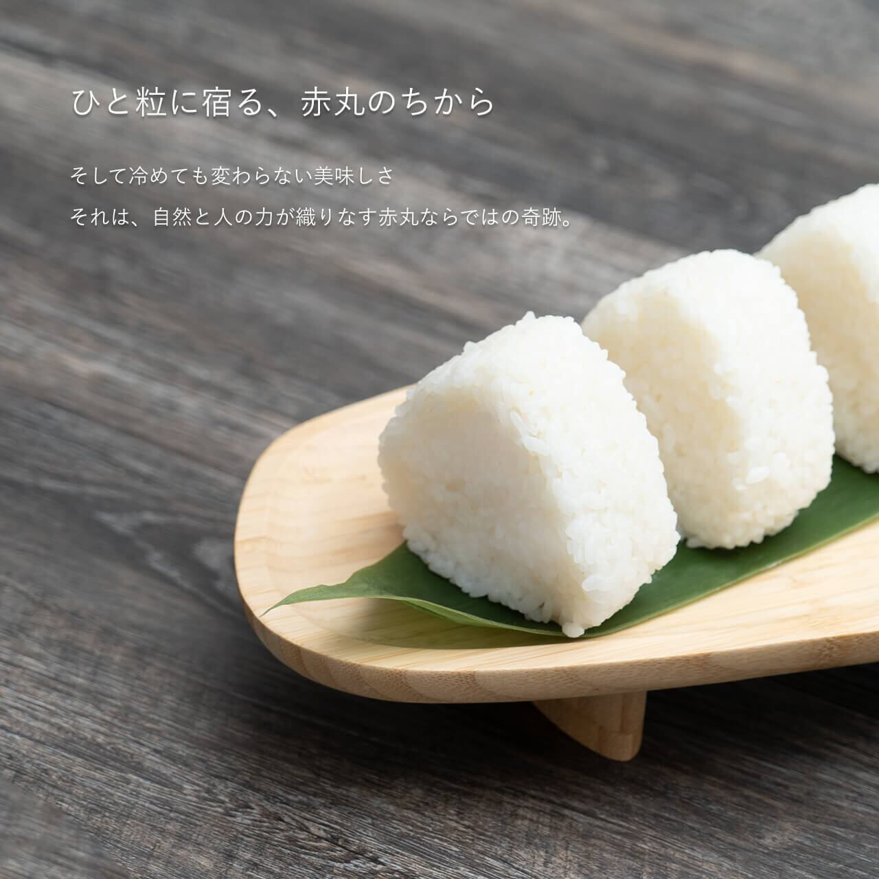 令和7年度産】富山産しきゆたか5kg | PAY ID