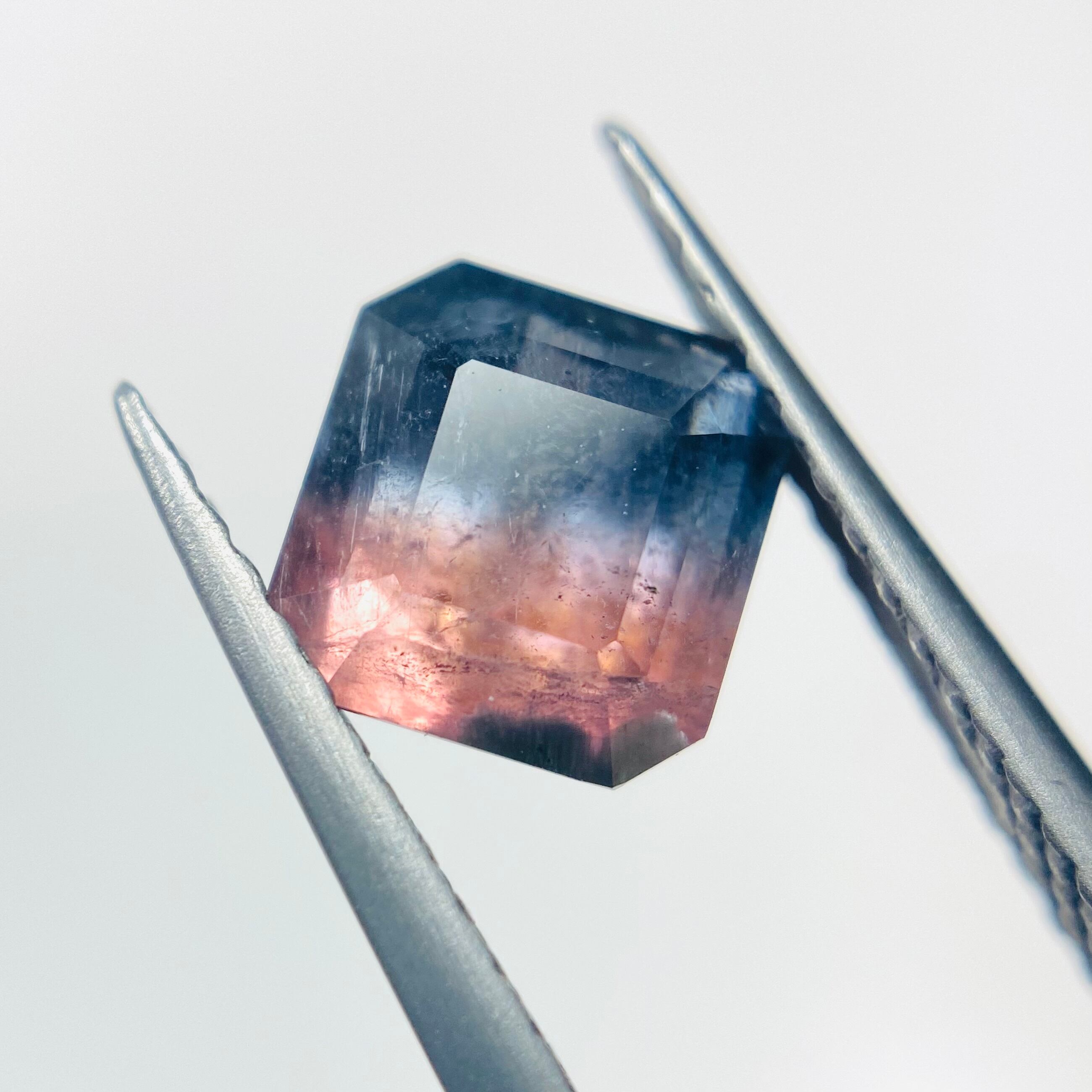 2色の紫陽花　バイカラートルマリン2