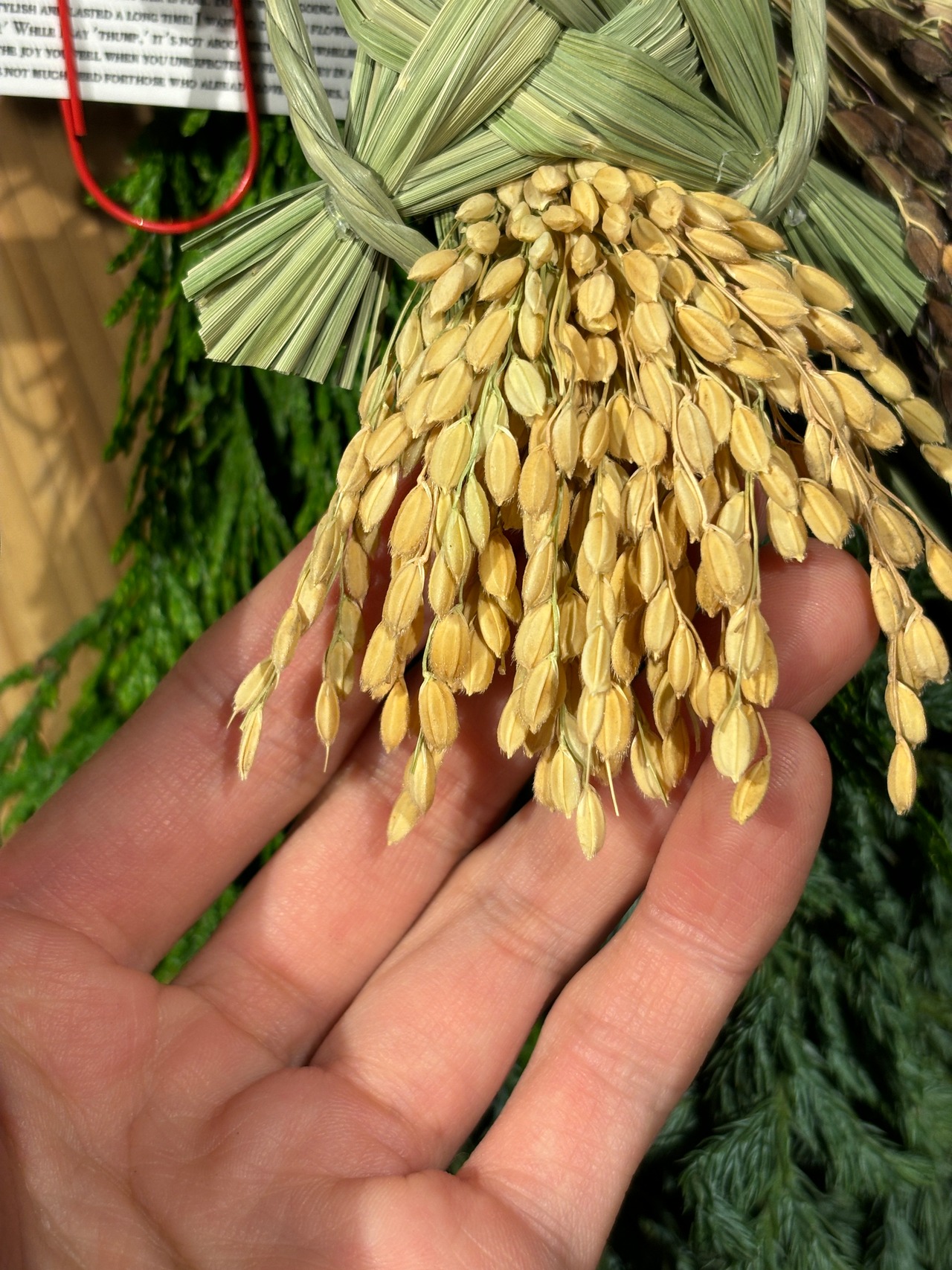 【来店専用商品】縁起しゃいこう新潟県産コシヒカリ装備の藁亀様〆飾り2026