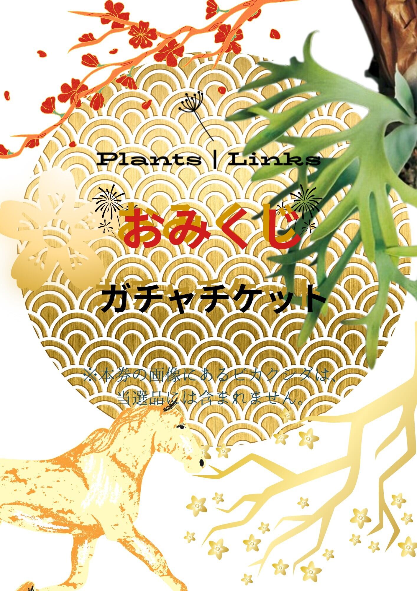 ALL ITEM | Plants.Links