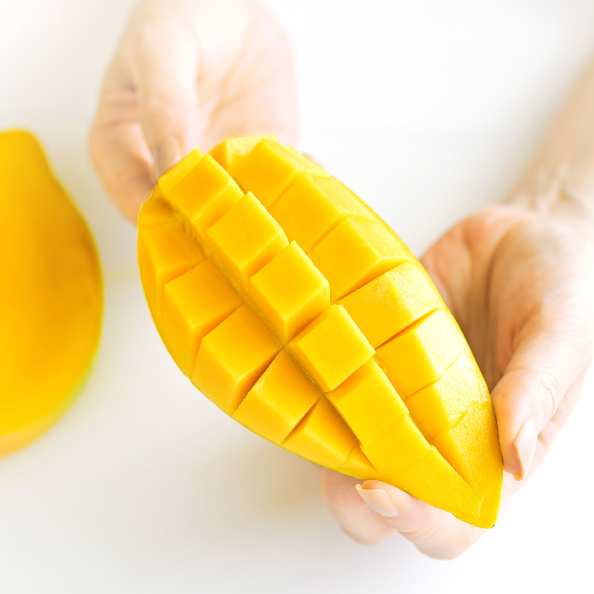 お得！ご自宅用【詰合せ】品種ミックスわくわく1kg | ふじえだ完熟