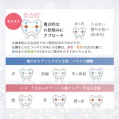 【1週間前後でお届け】ゼルV2スタートセット