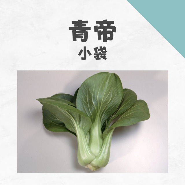 青帝　チンゲンサイ種子・小袋