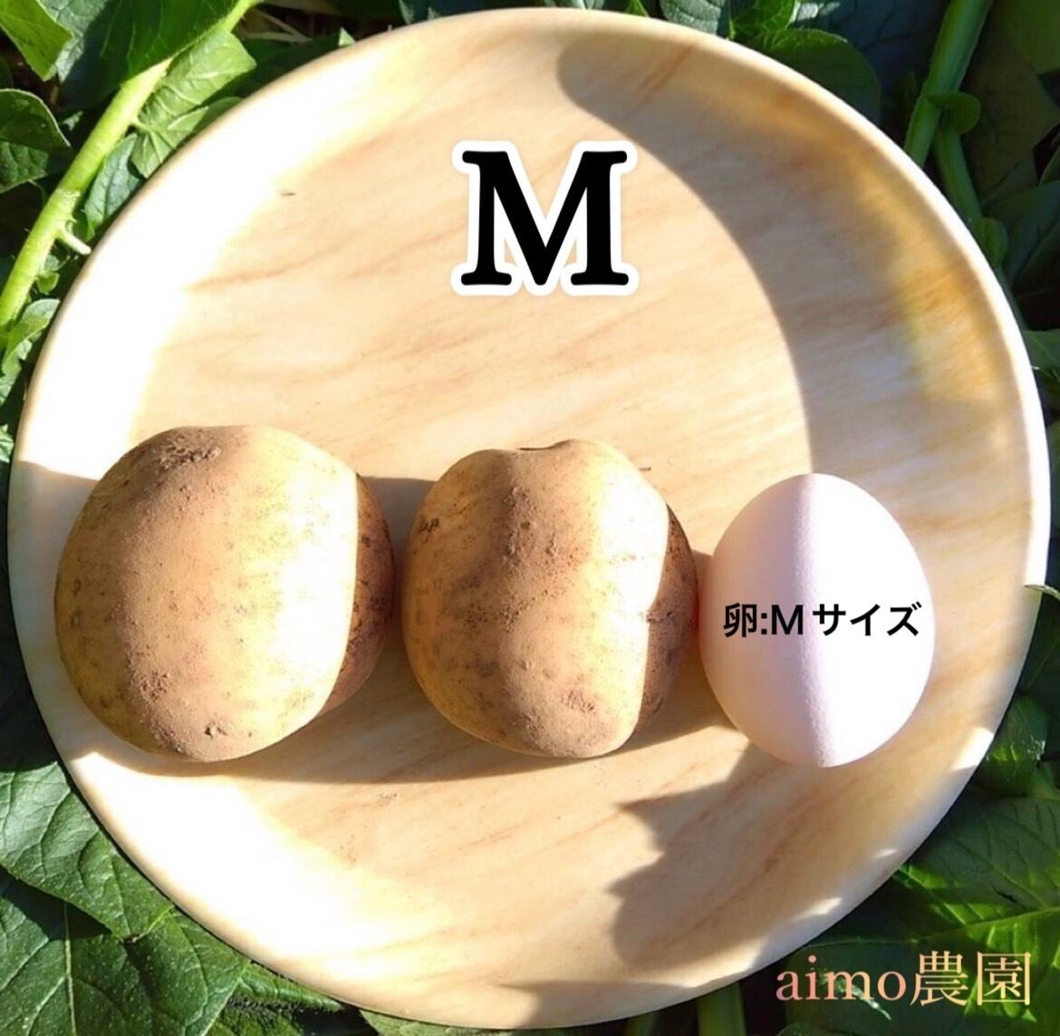 新じゃが M〜2L 2kg｜箱別 | aimo農園