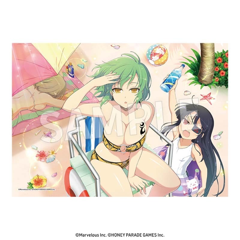 閃乱カグラ ILLUSTRATIONS 2冊セット A3クリアポスター付き 閃乱カグラ ILLUSTRATIONS 2冊セット A3クリアポスター付き｜Yahoo