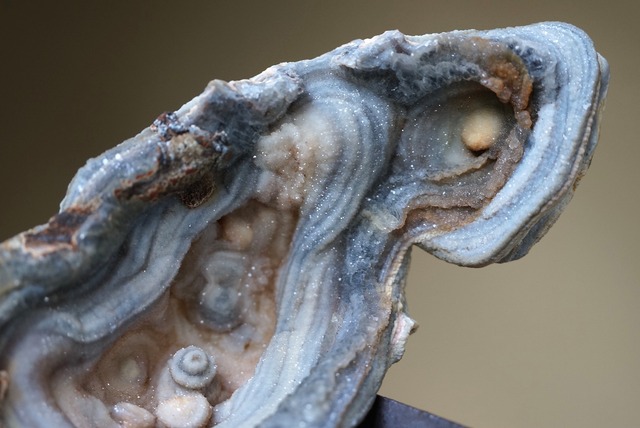 コンシャ・アゲート　Concha Agate