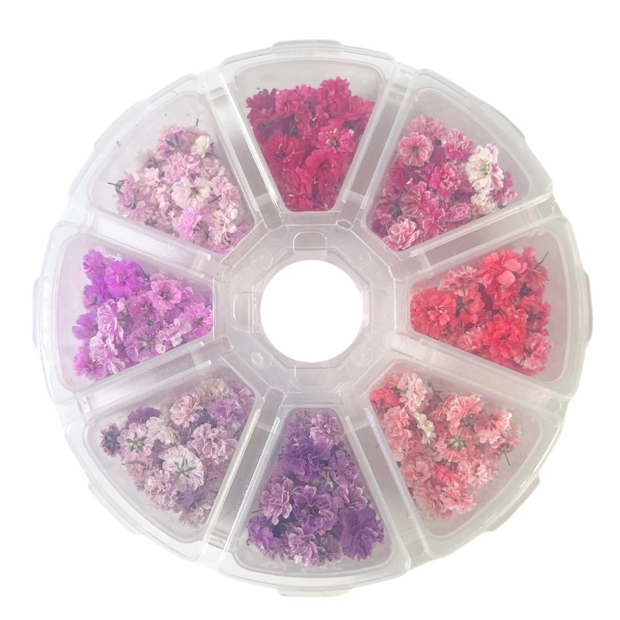 中小粒多め】かすみ草ドライフラワー✢ホワイトつめつめカップ 楽天