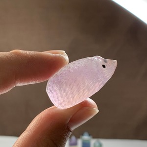 8.大家族フローライトハリネズミさんの住処・~ハリーさんの休憩所~