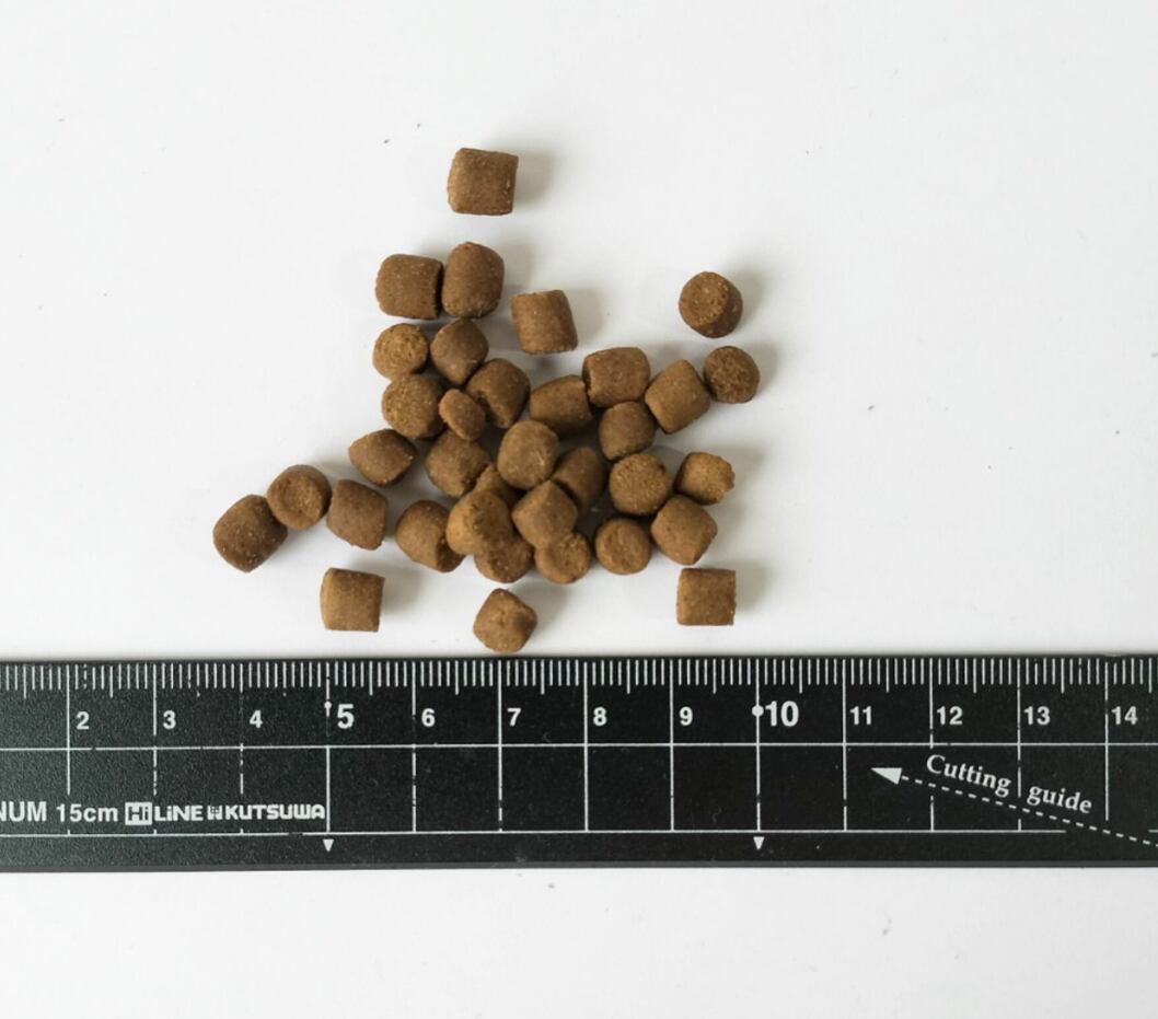 ワイソン フェレット エピジェン90 2.27kg | cocoa