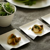 WASARA 角皿(小)12枚入 | Square S(12pc) 8cm | DM-003