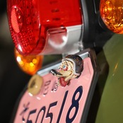 CRAZY CUB DUCK NumberBolt /CT125ブラウン