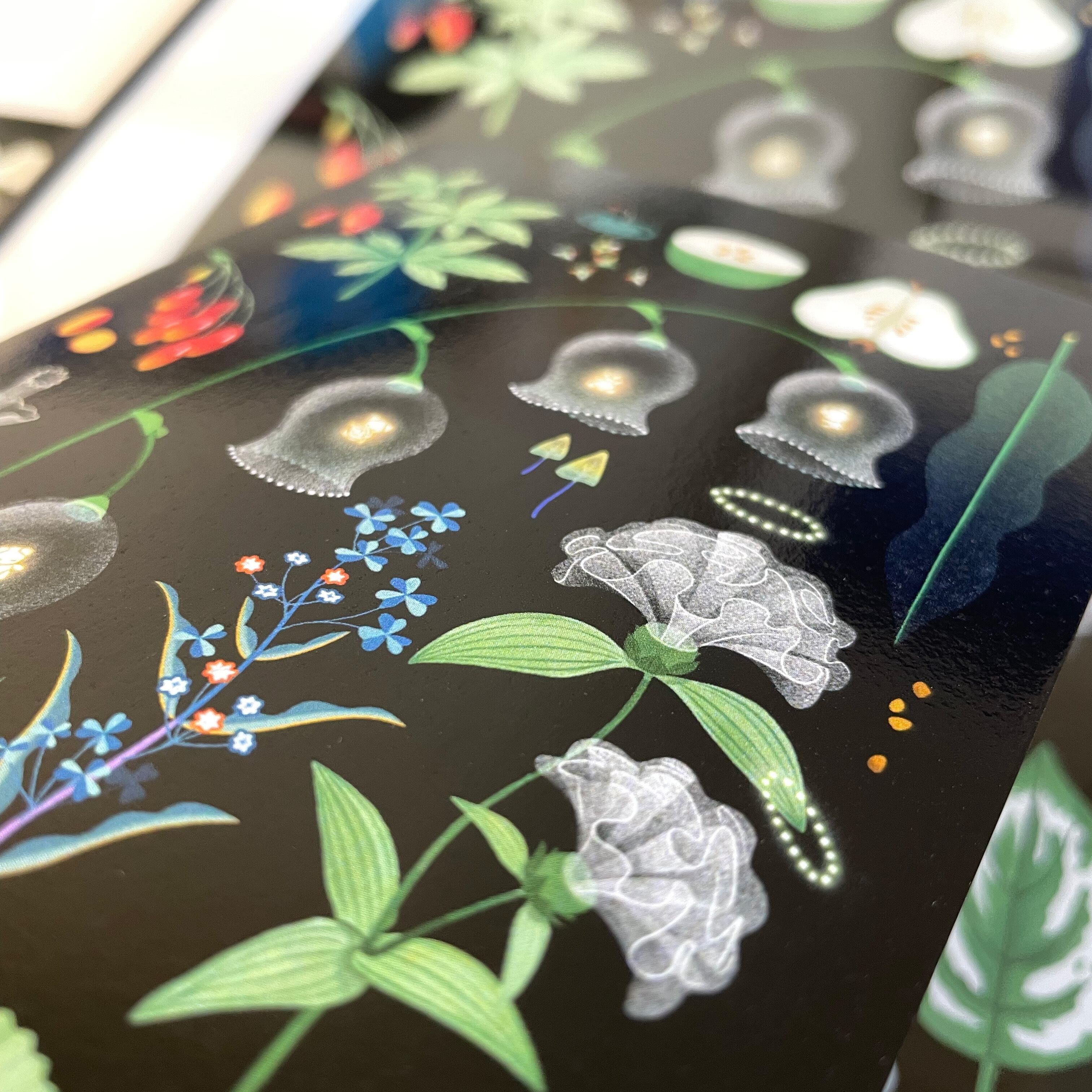 植物図鑑3 POSTCARD | MIKEMORI WEB SHOP