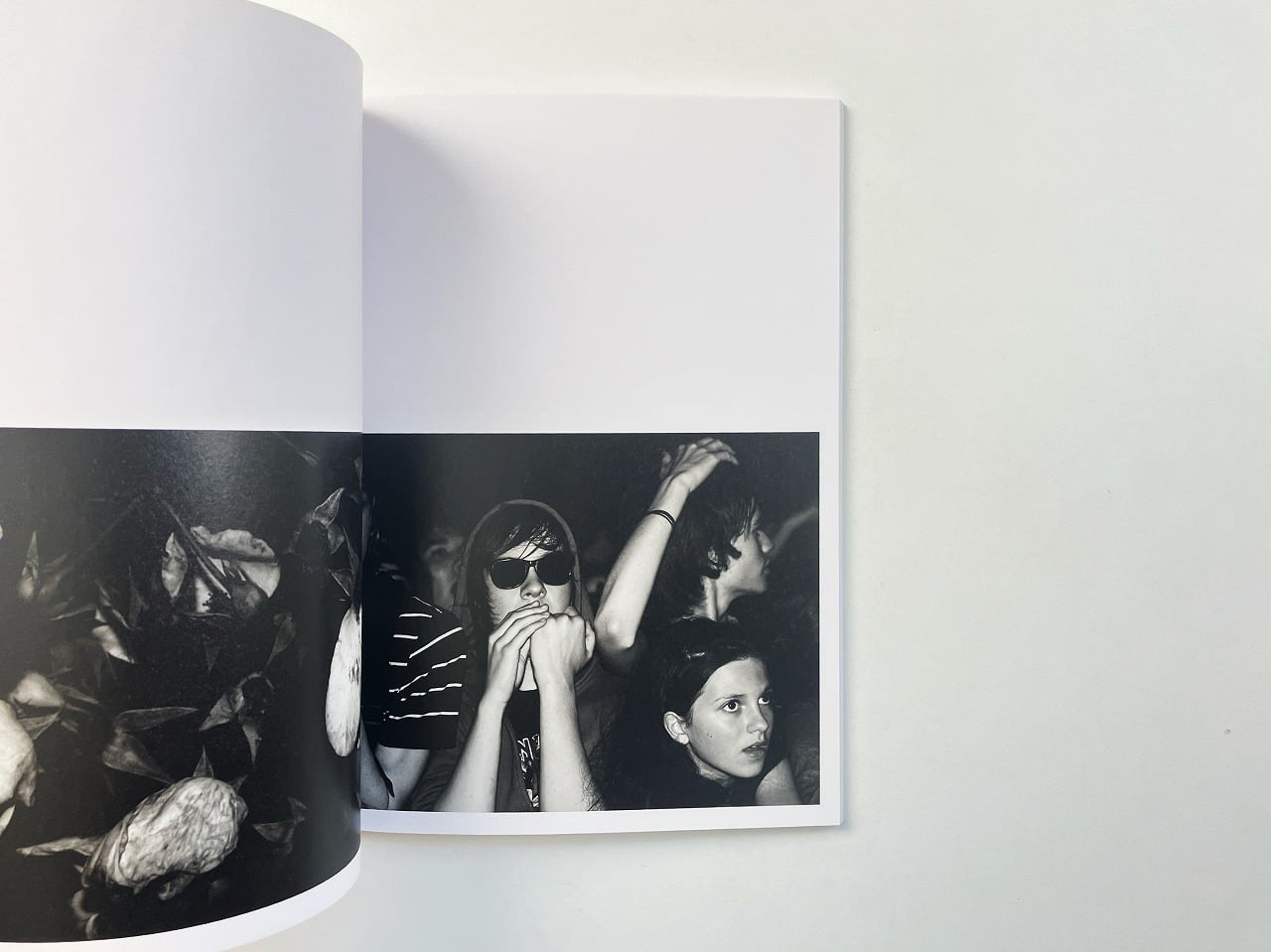 エディ・スリマン Hedi Slimane | Rock diary | 翠ブックス | suibooks