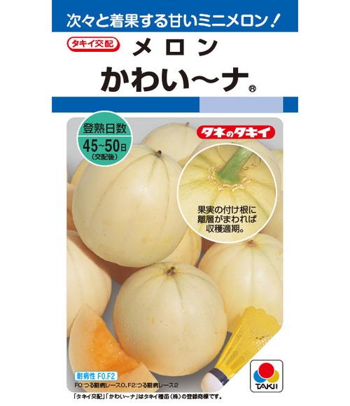 メロン「かわい～ナ」（DF） 画像