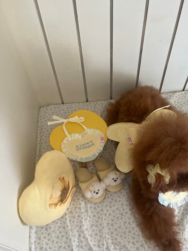 予約【tak!tak!tak!tak!】 heart series_ heart hat butter-yellow