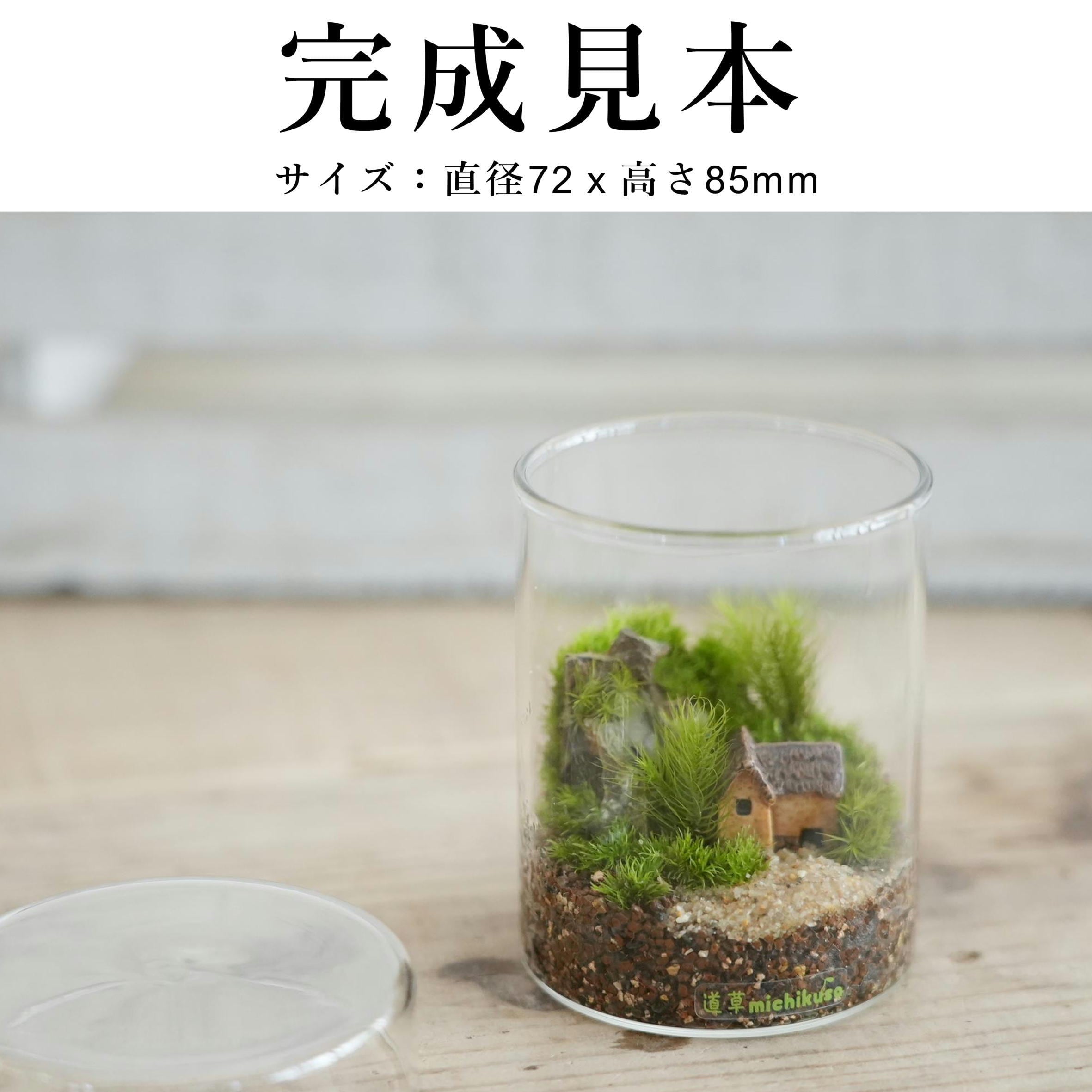 作製キット】家のフィギュア付き苔テラリウム ◇動画解説付き | 苔