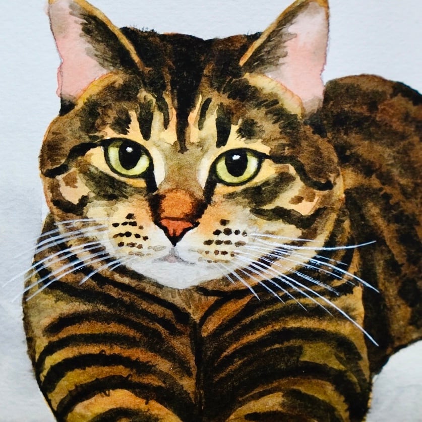 猫の絵 440 水彩画 原画 キジトラ | Forest cat