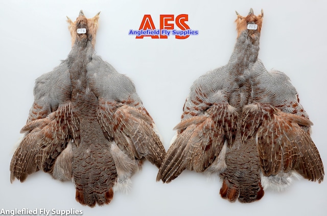 【 AFS 】Partridge COMP. Skin  #S Grade ( PT4, PT5 )