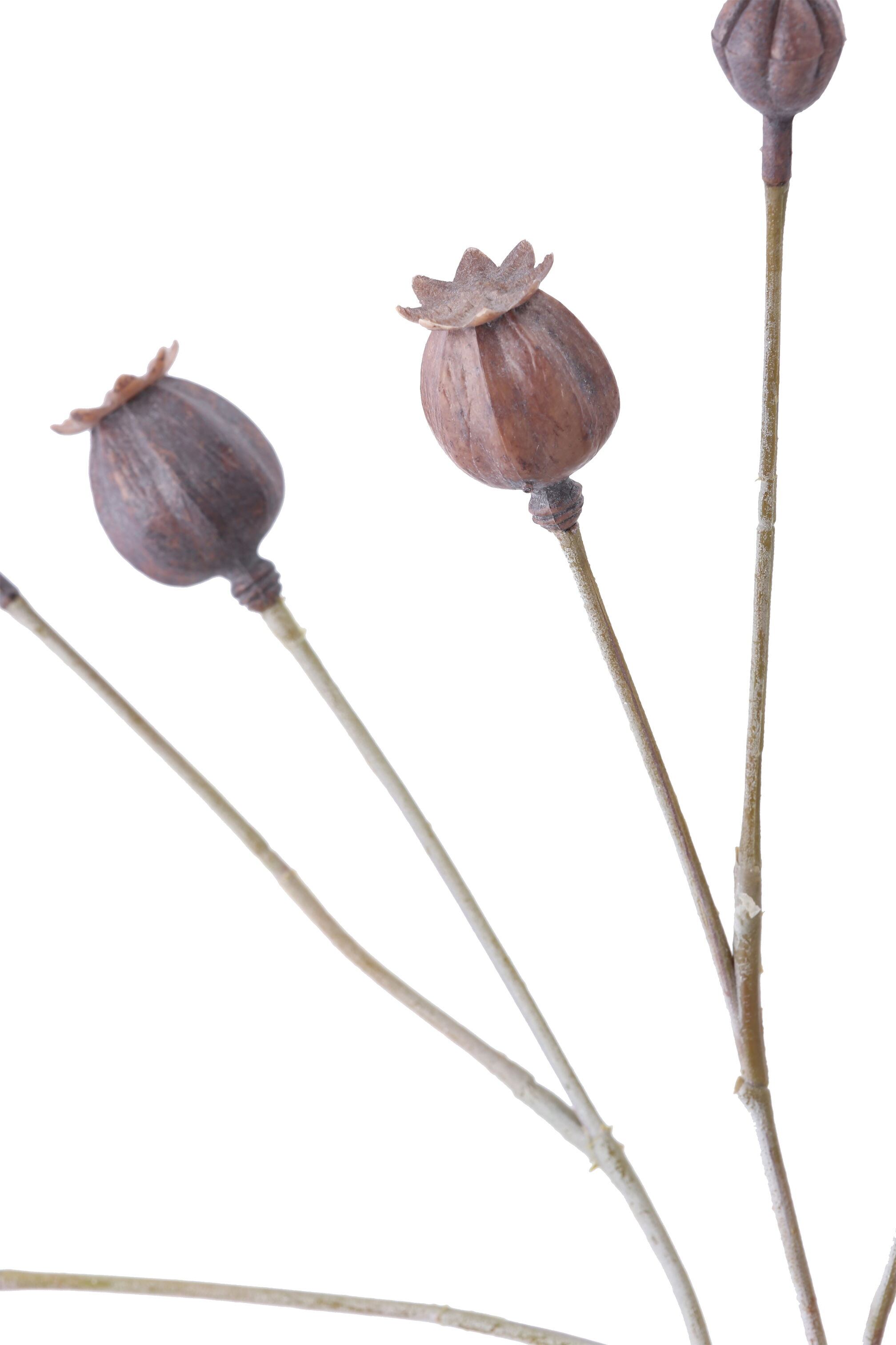 ポピーシードスプレー　　FG-5125BR　4961823755170　造花（アーティフィシャルフラワー） > 定番造花実物/枝物