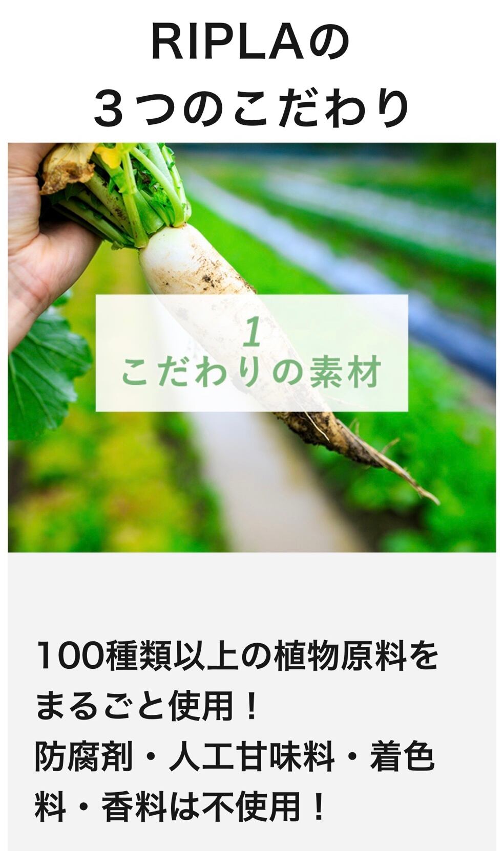 送料無料◇3本まとめお得◇腸活 RIPLA リプラ 酵素500ml1本 ＊正規店