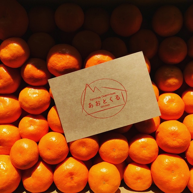 2026/1/1予約販売開始【10kg×2箱まとめて一括り1個口発送】蔵出し熟成みかん10kg×2箱