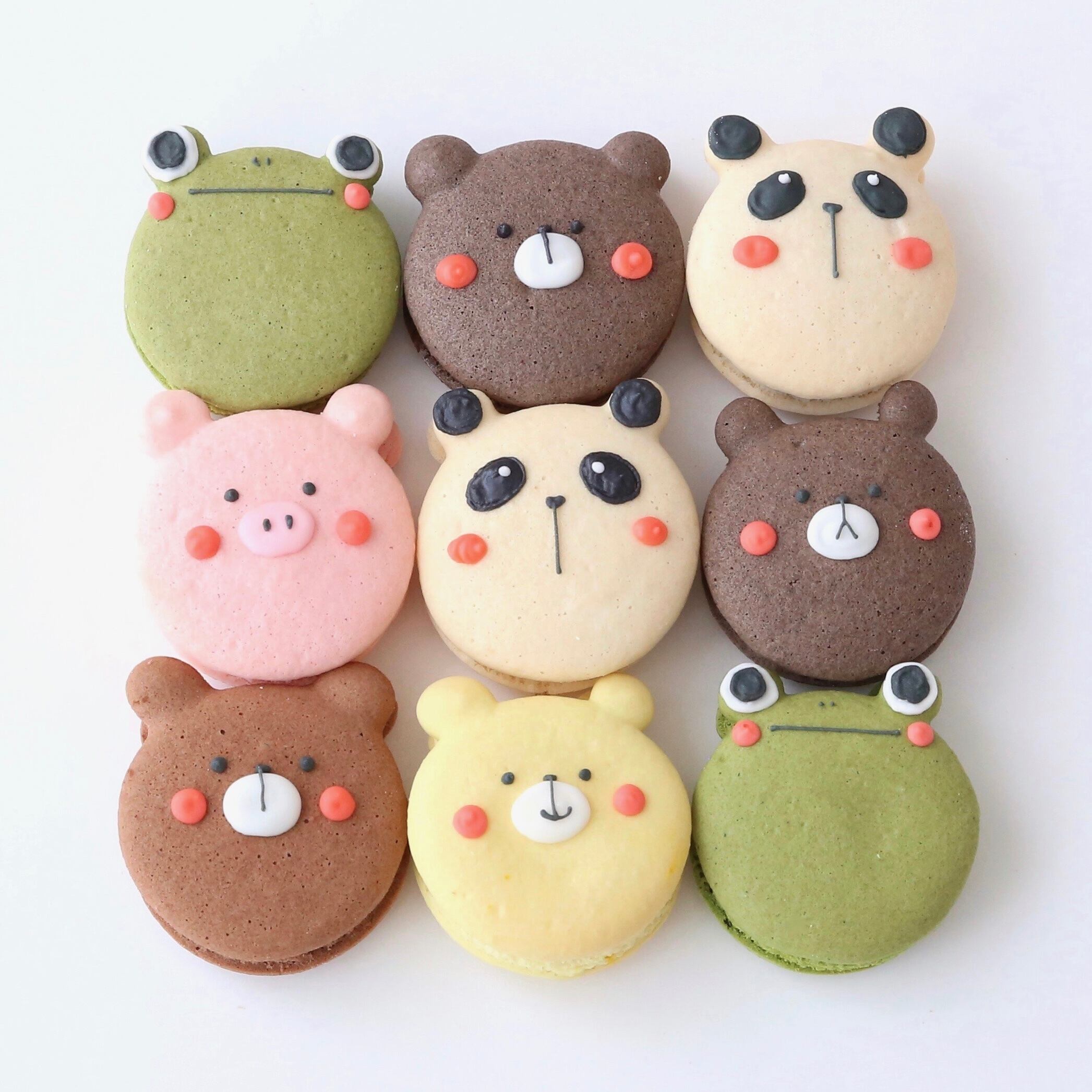 ｚｏｏ 動物 マカロン９個セット ココマカロン