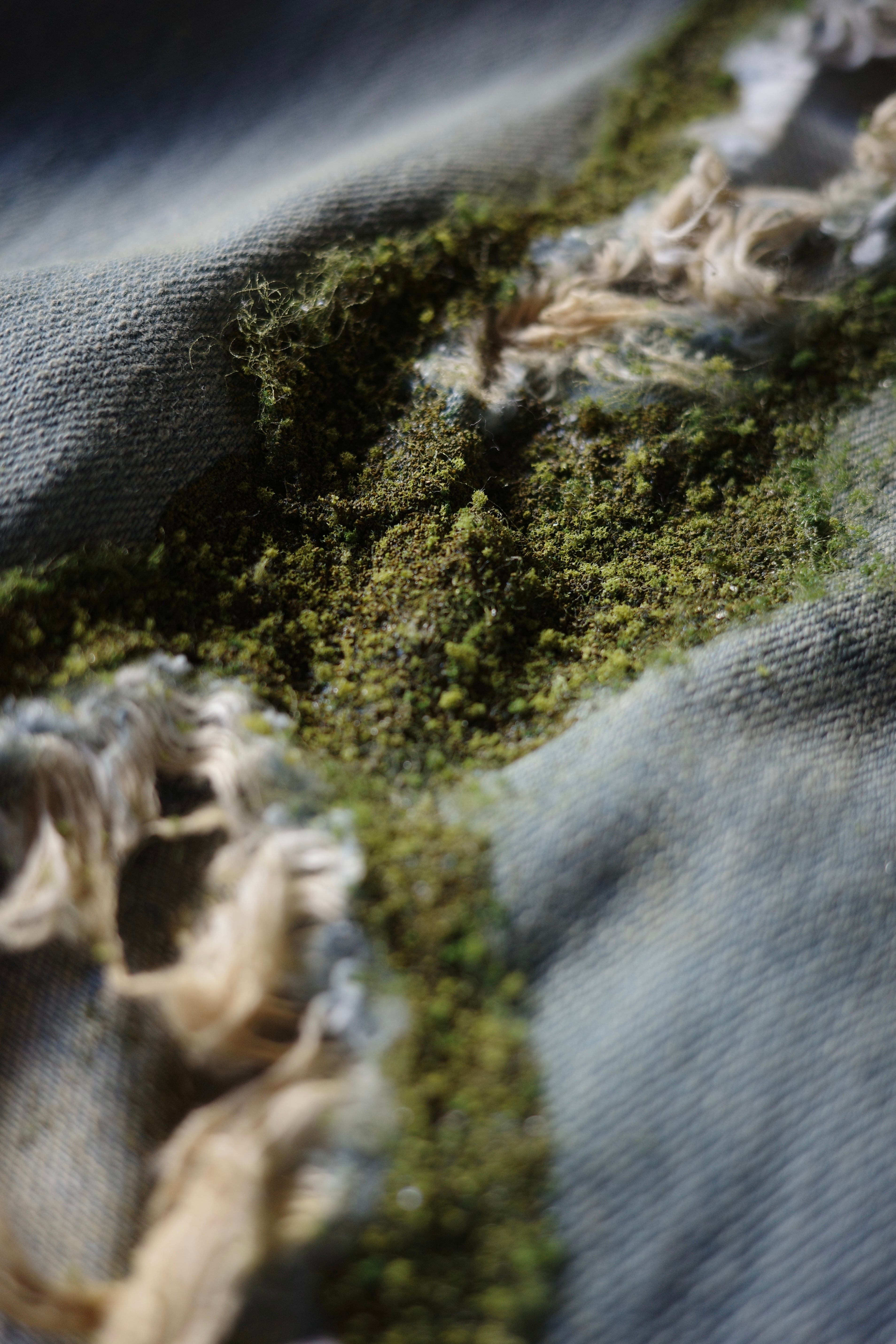 LITTLE.BEDROOM 【WARP HOLE DENIM -Moss-】 | lloomm