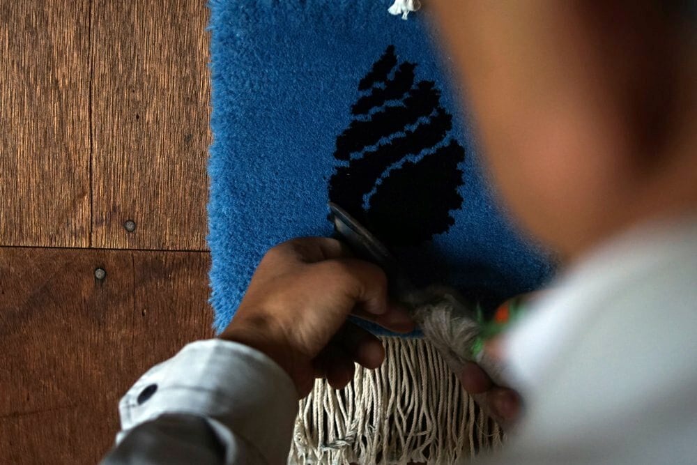 法螺貝36.1cm 法螺貝 33cm 600g - Kaiショップ