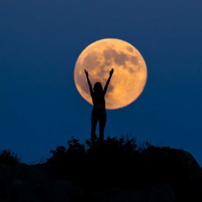 ラピス・ルナ・シャルドネ ラピス・ルナ・ワインズ 2018年 アメリカ