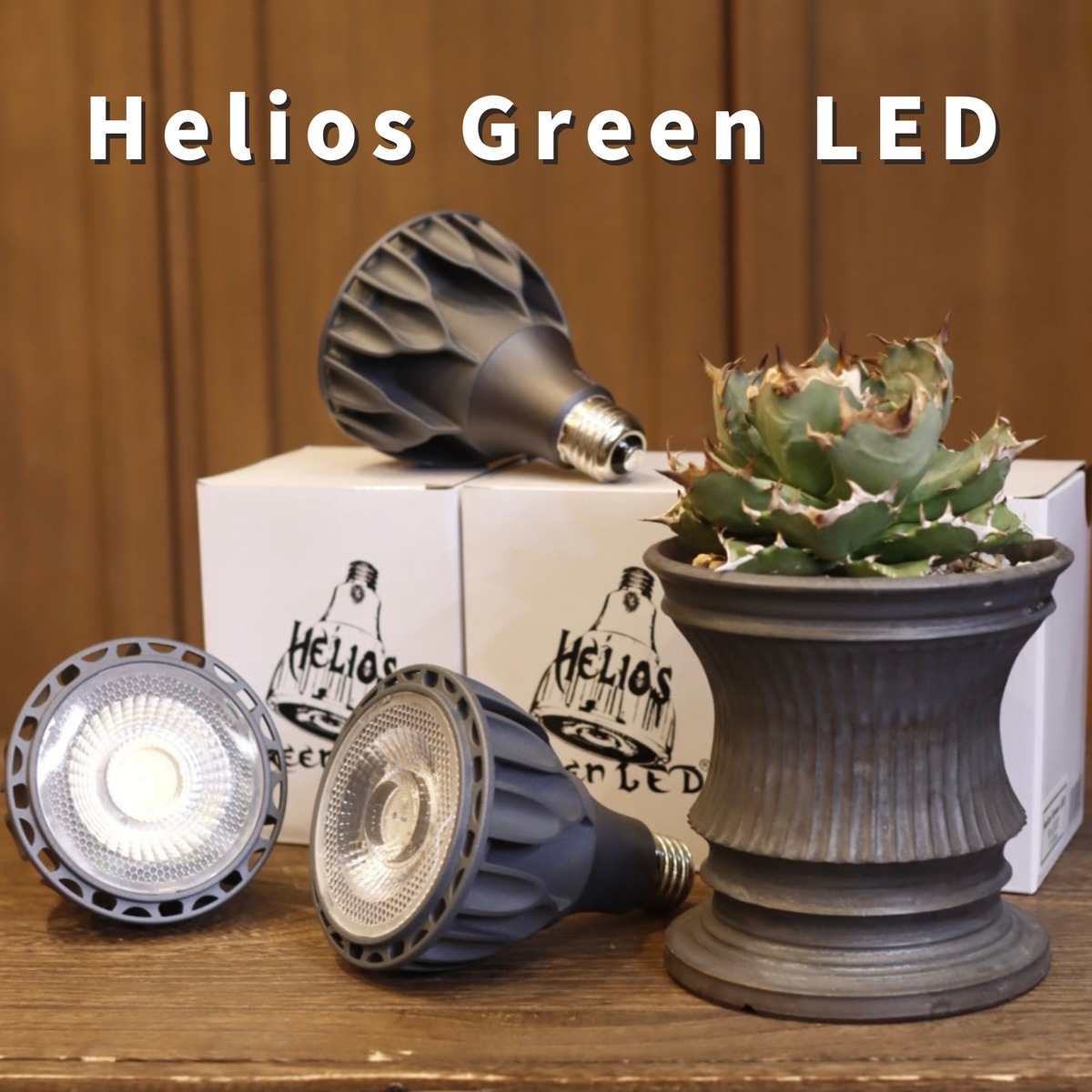 Helios Green LED HG24 ヘリオスグリーン LED 広角レンズ付