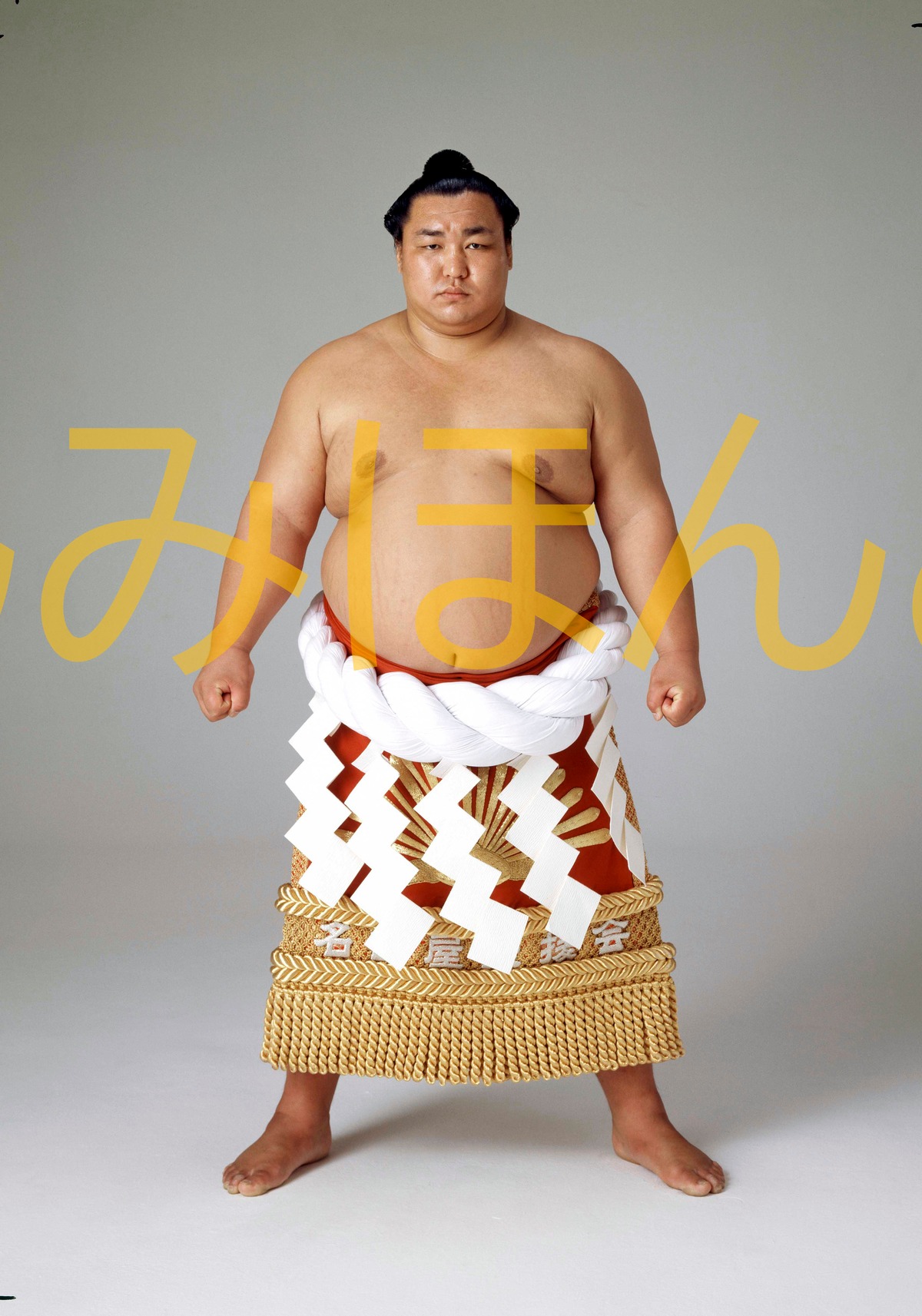 038fec714ee7ffa84a11edc4bbdc64  