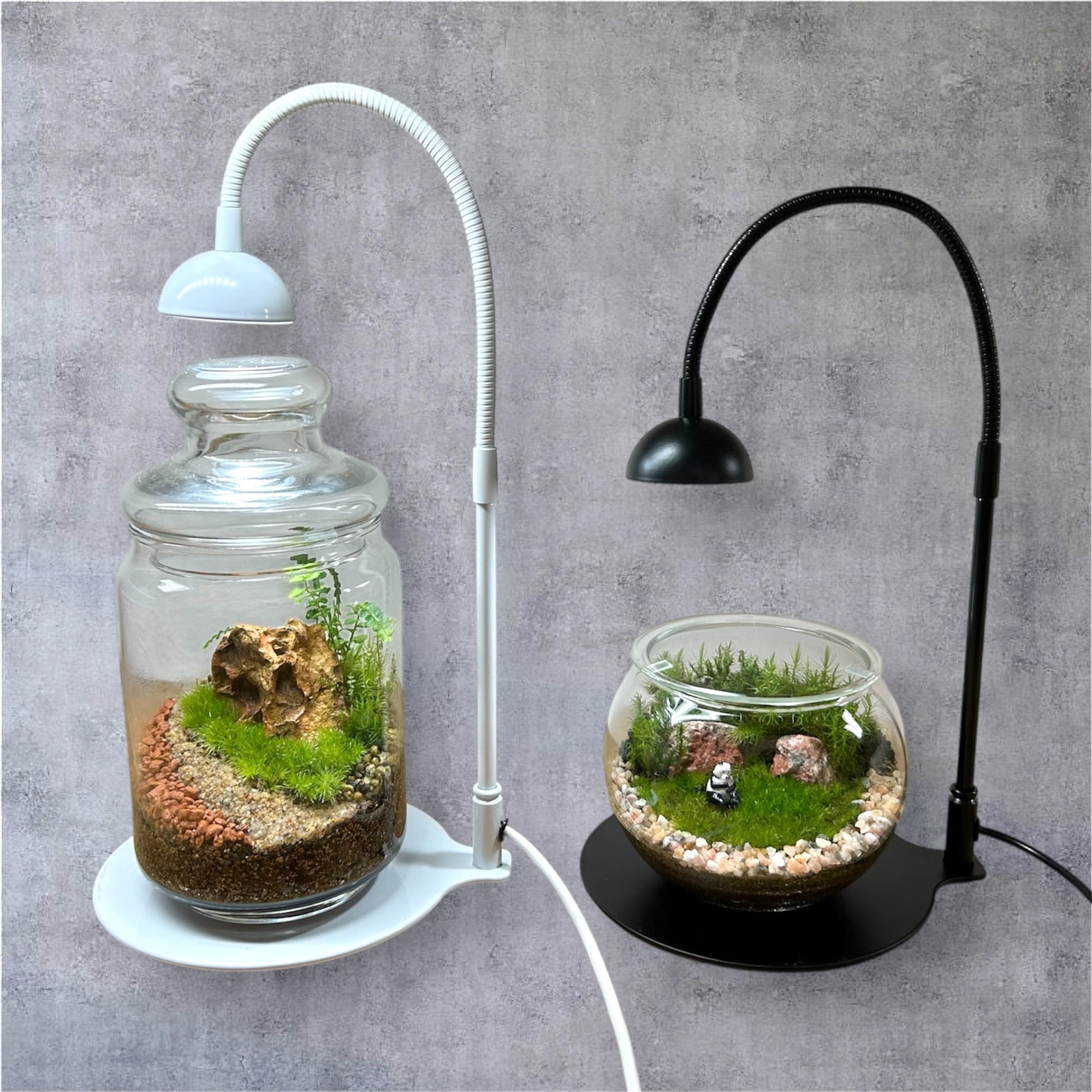 テラリウム専用ライト「GROW 01」 | 苔テラリウム専門店Feel The Garden