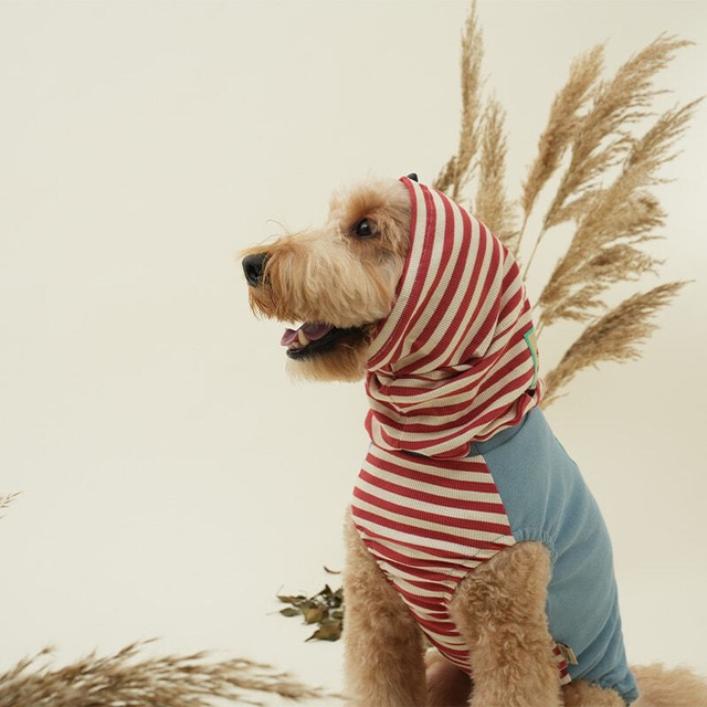 即納のみ【PUPPYGALLERY公式】ファイアースヌードTシャツ【Sky Blue】GM