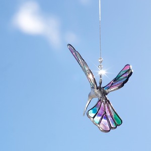 Hummingbird ( Antique Glass - 3 )