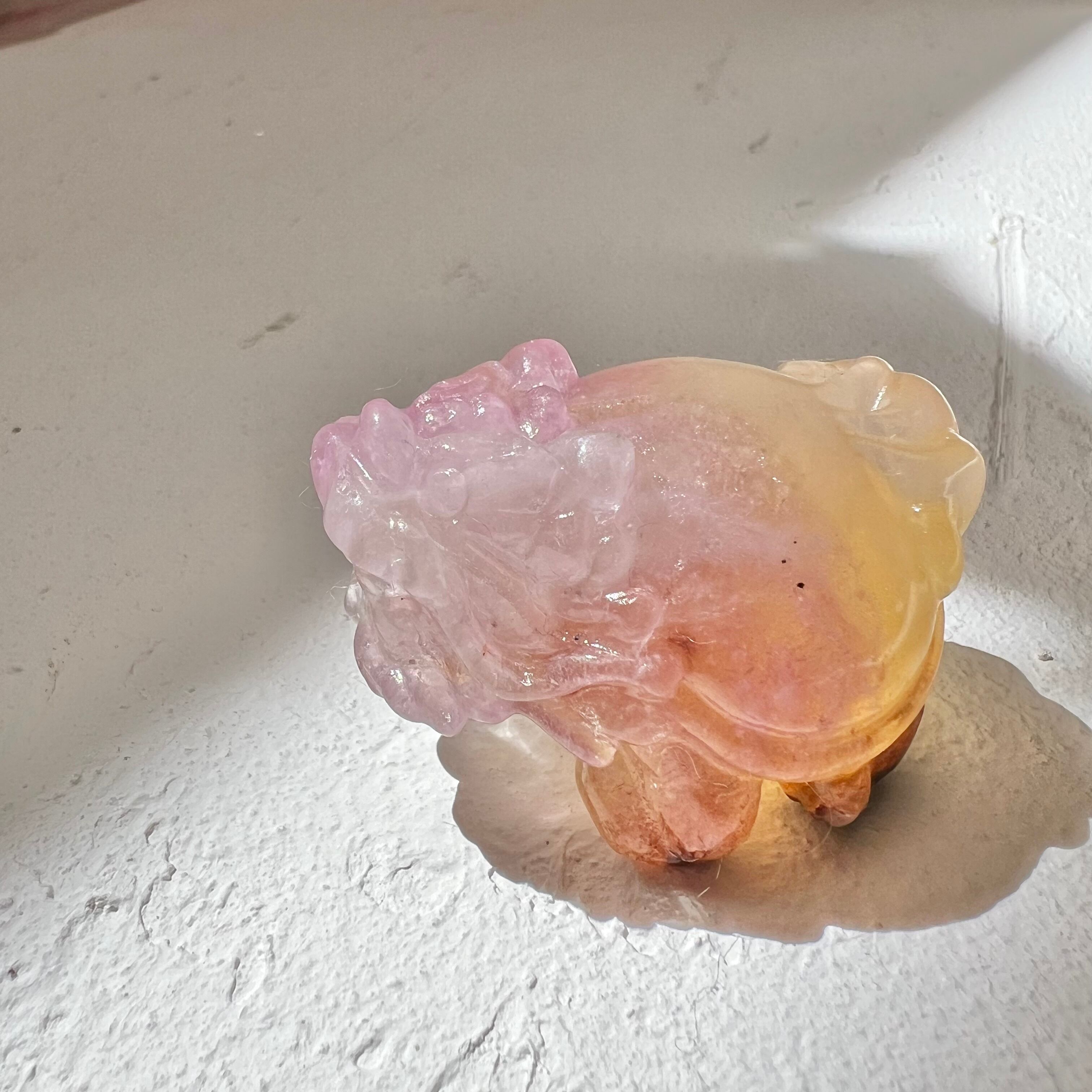 龍亀（ロングイ） | atelier panier