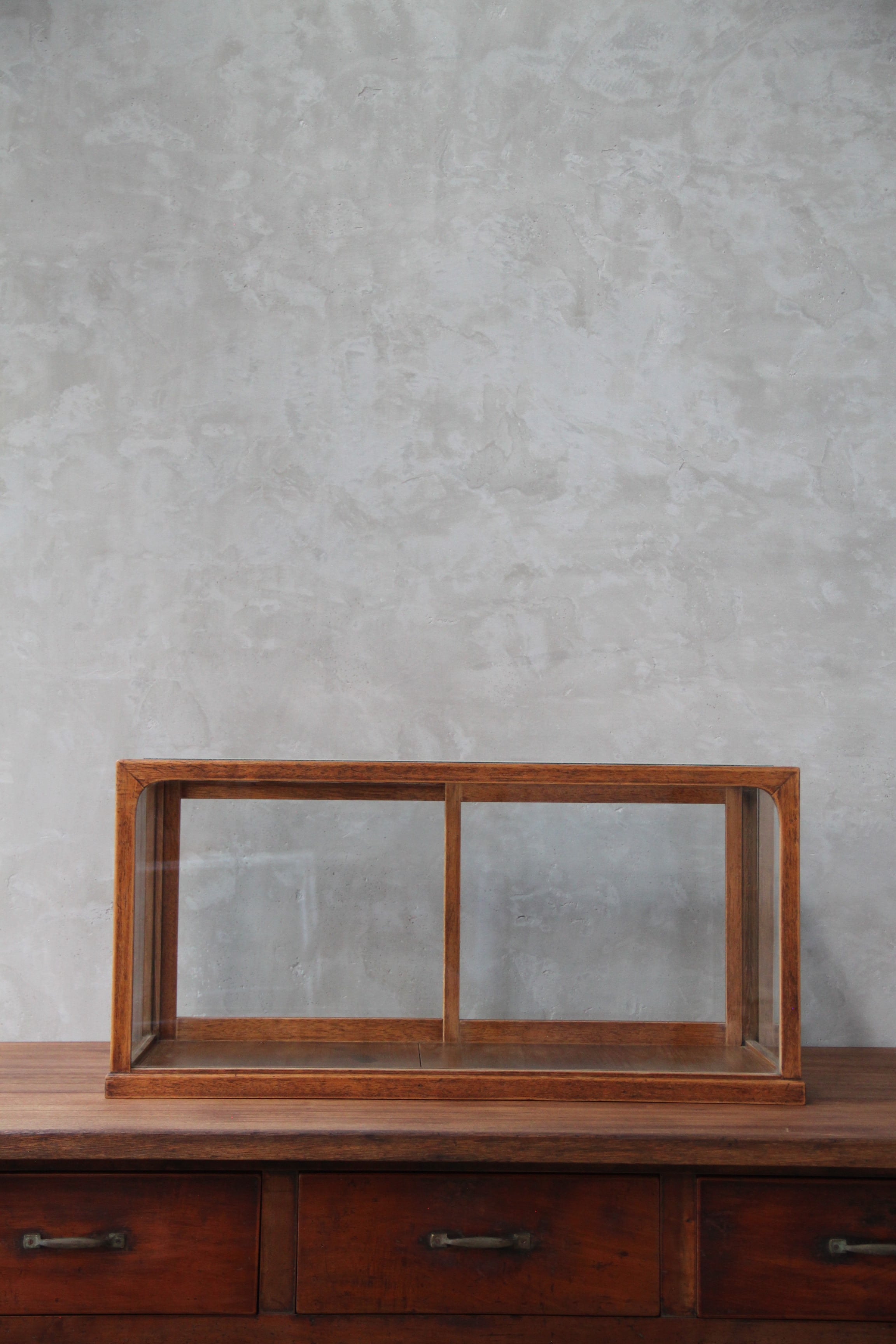 卓上ガラスケース 古家具/アンティーク/ガラスケース/ショーケース/収納/ガラス棚/