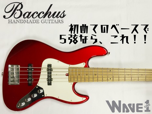【Bacchus】WJB5-1DX-AC RSM/M〈各色随時入荷！お問い合わせください〉