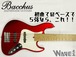 【Bacchus】WJB5-1DX-AC RSM/M〈各色随時入荷！お問い合わせください〉