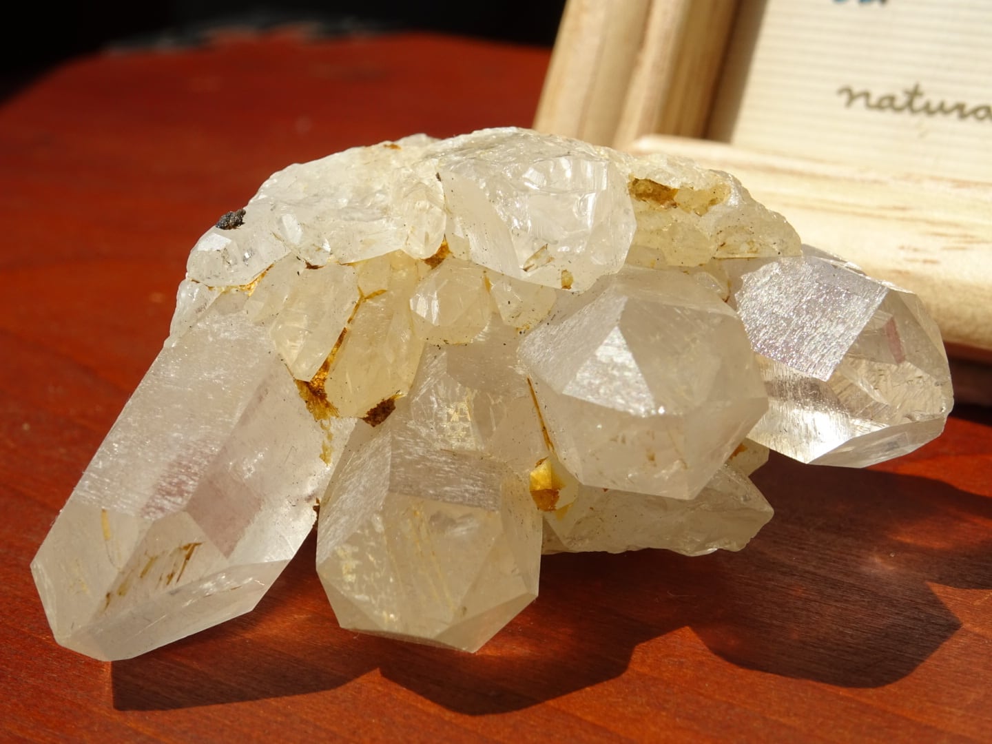 アバンダンスの輝き❇️マニカラン産ゴールデンヒーラー アバンダンスの輝き❇️マニカラン産ゴールデンヒーラー アバンダンス