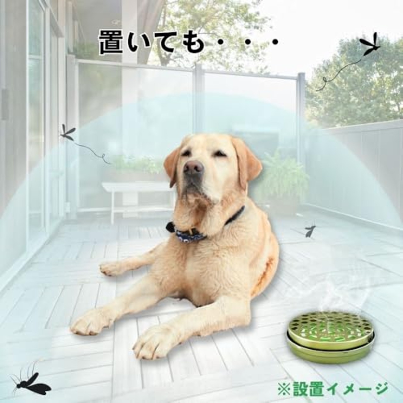 アース・ペット ペット用アース渦巻AC 48巻入 【動物用医薬部外品】犬猫用蚊とり線香 蚊よけ 大型13時間燃焼 ペットにやさしい香り