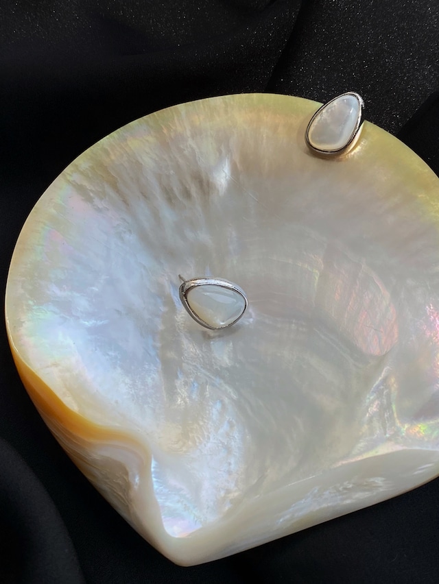 S925 Oval shell pierce (P49-2)