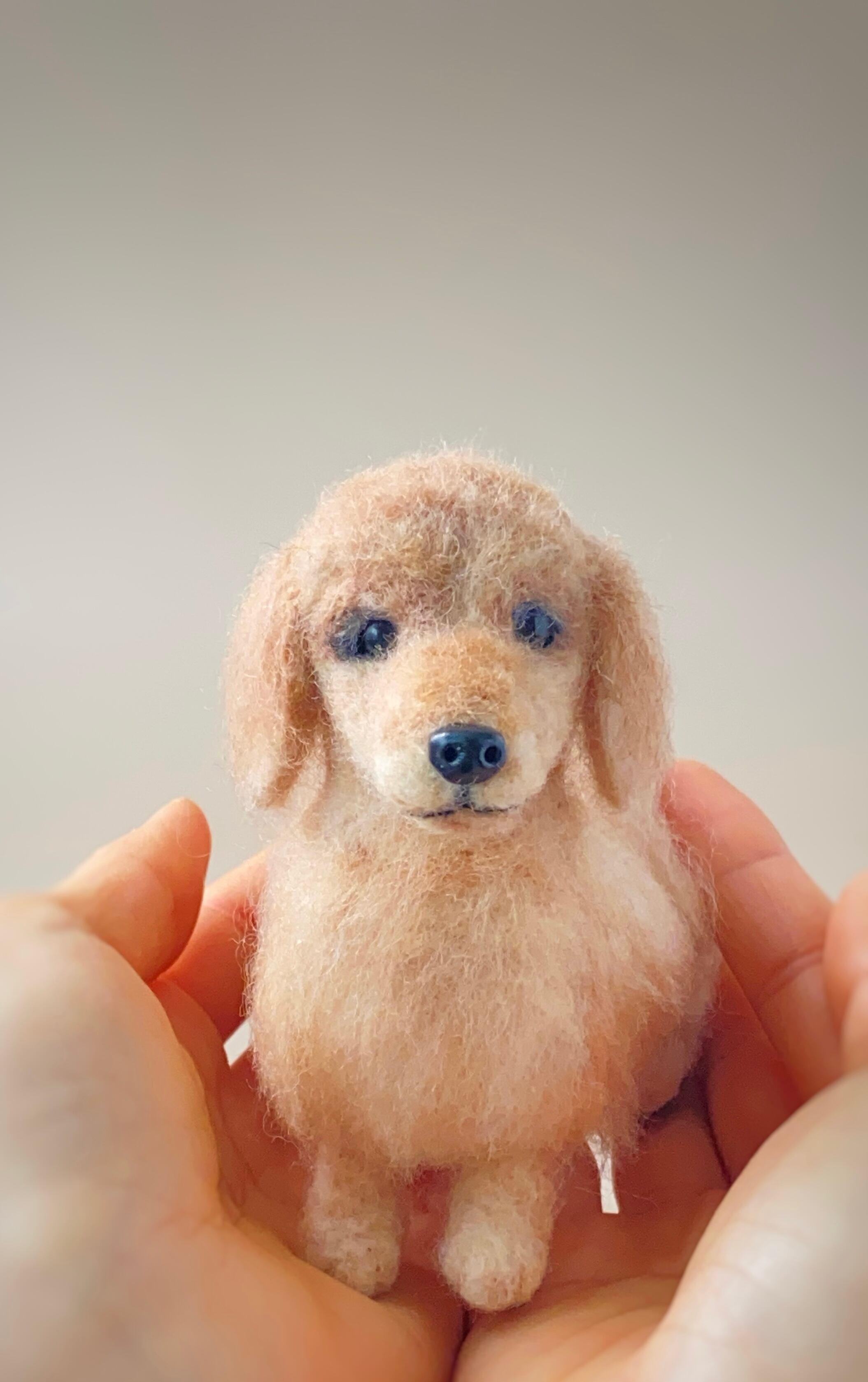 受注制作】いつでもいっしょ♪ ふわふわ羊毛フェルトのダックスフント