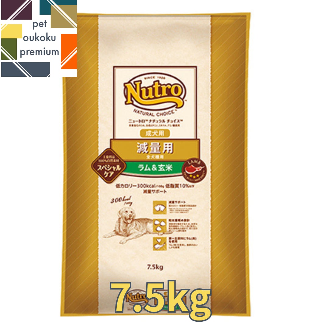 メルカリ便無料♡⑨ナチュラルチョイス 成犬 小型 ラム 16kg メルカリ