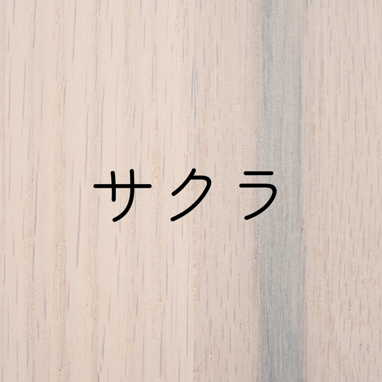 maru.chair 【サクラ】