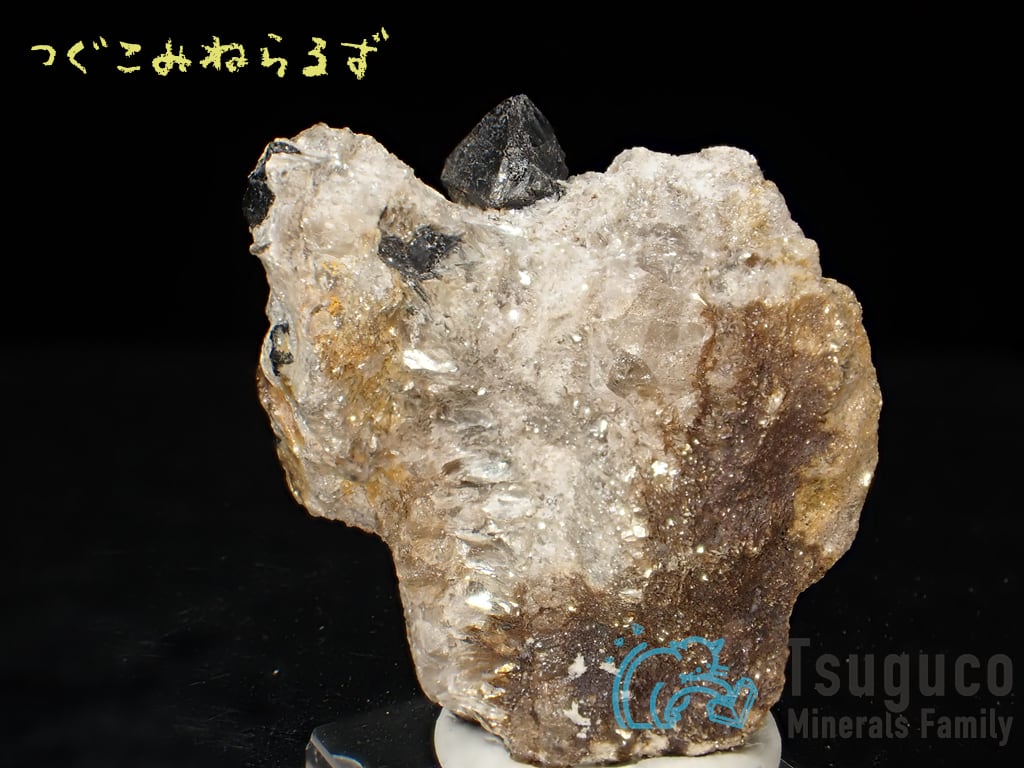 キャシテライト 錫石 Cassiterite スペイン TM-0023