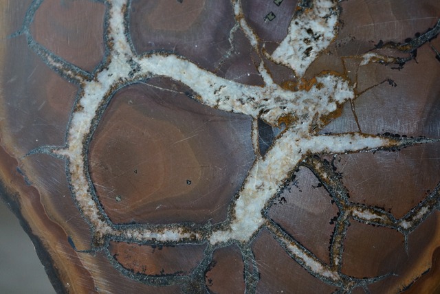 セプタリアン　Septarian　1121